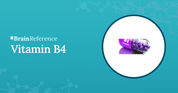 Vitamin B4 - Benefits, Uses, and Side Effects of Vitamin B4